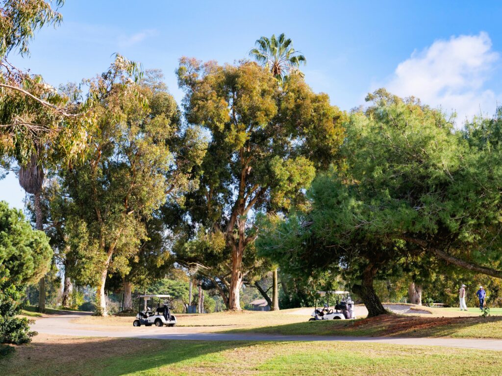 Tree lined golf course in santa cruz
